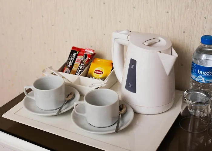 Otel White Monarch 4*