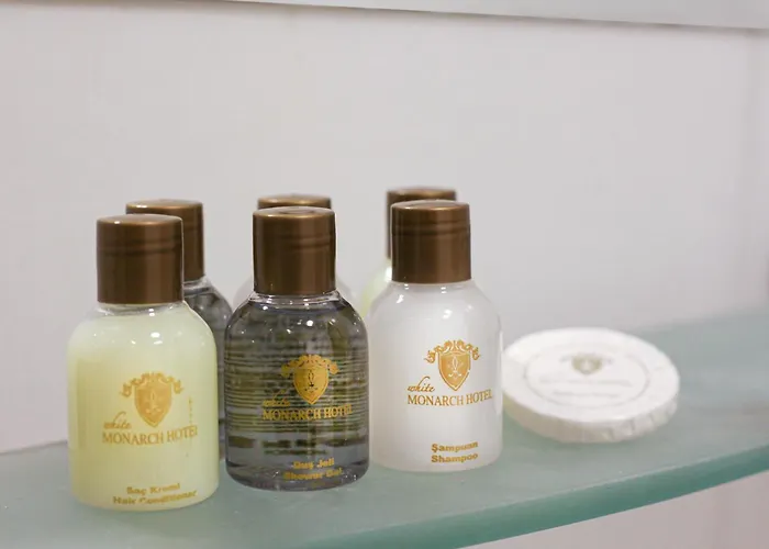 Otel White Monarch 4*